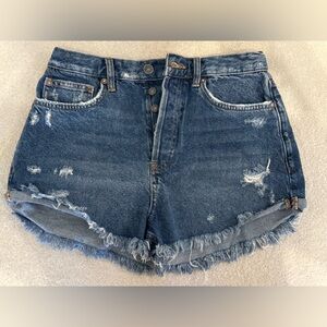 We The Free Curvy Jean Shorts
